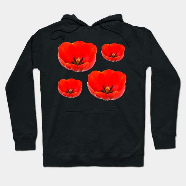 Tulips Hoodie by chrisburrows